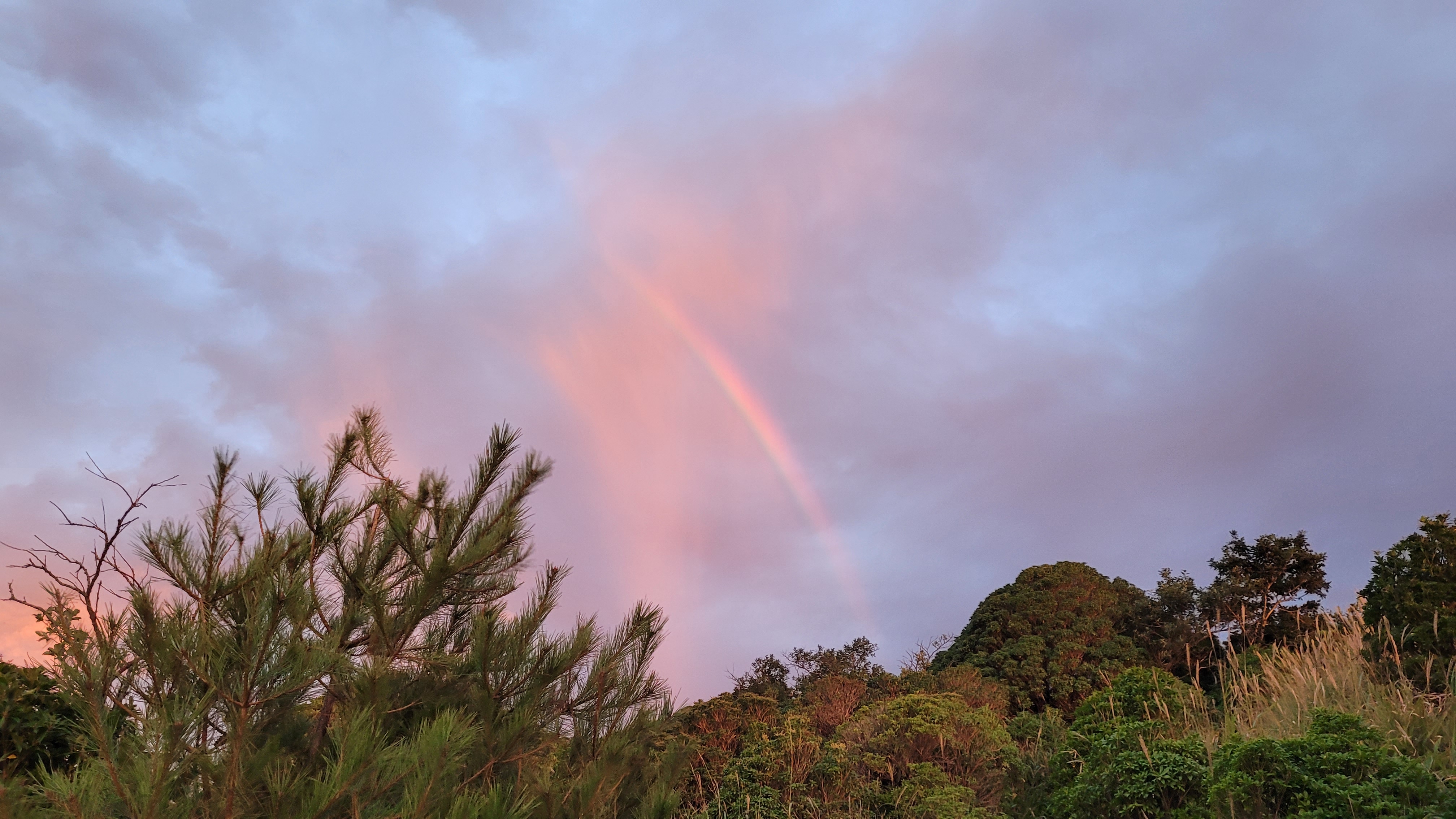 Discover Kyushu Like a Local – Tailored Just for You